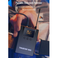TAKSTAR WPM-300 In-Ear UHF Wireless Monitor System